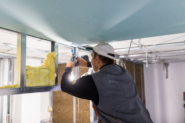 Best Insulation Maintenance and Repair in Silverton, OH